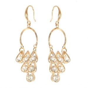 Elegant Diamond Earrings