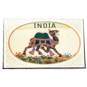 India Fridge Magnet